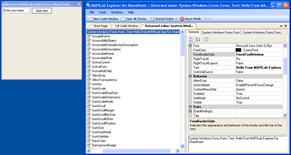 Windows form with changed properties